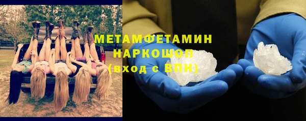 крисы Баксан